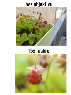 makro